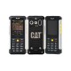 Cat B100
