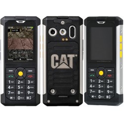Cat B100